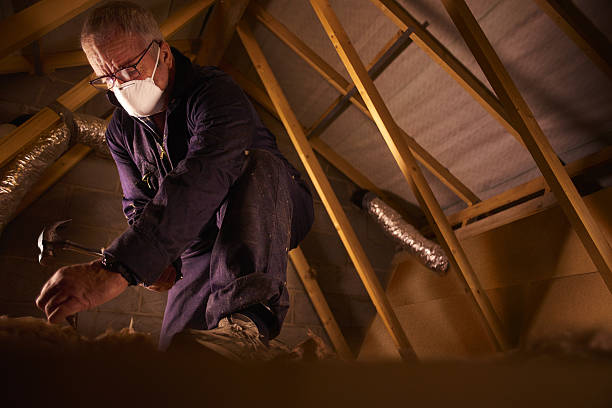 Best Commercial Insulation in El Macero, CA